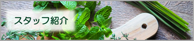 スタッフ紹介
